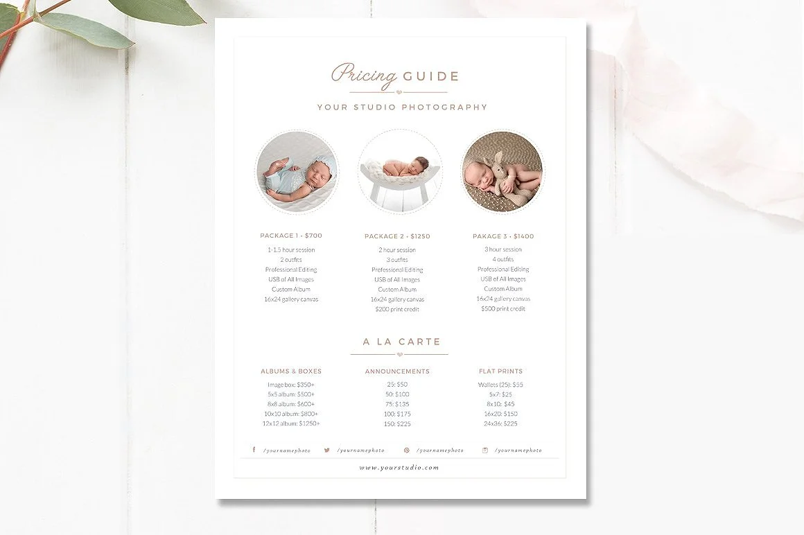 newborn photographer pricing guide template