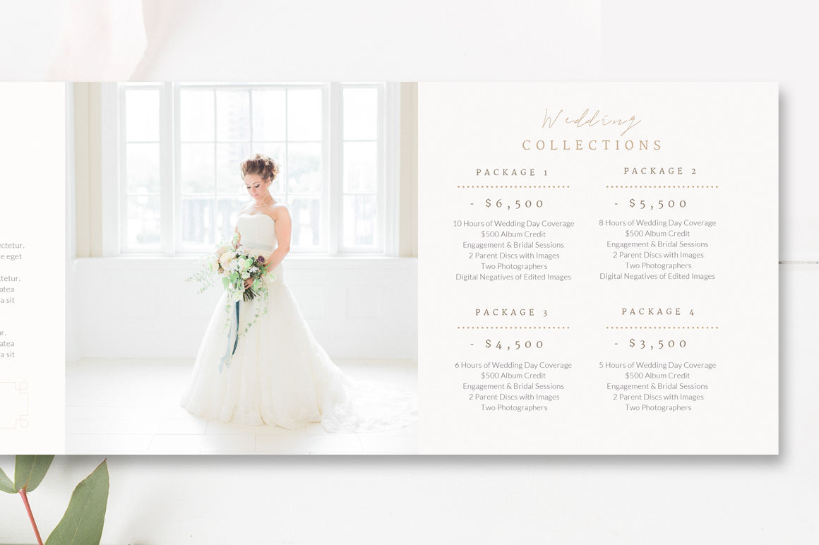 Photography Template Trifold Pricing Guide Design, Photographer Pricing Brochure