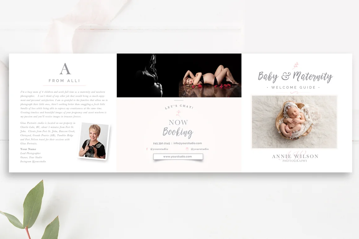 Newborn Pricing Template 5x5 Accordion Trifold