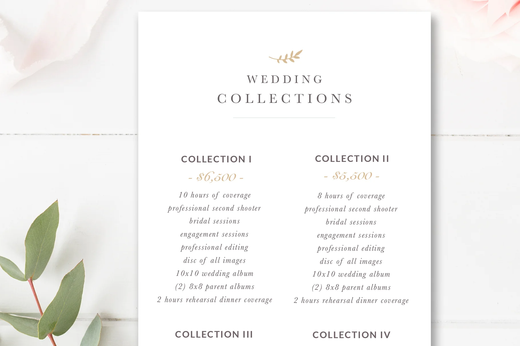 Wedding Photographer Rack Card Template, Photoshop Template