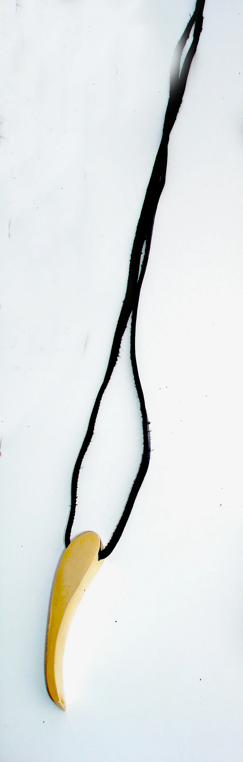 DSC09679kjkljl XXOOO det.jpg