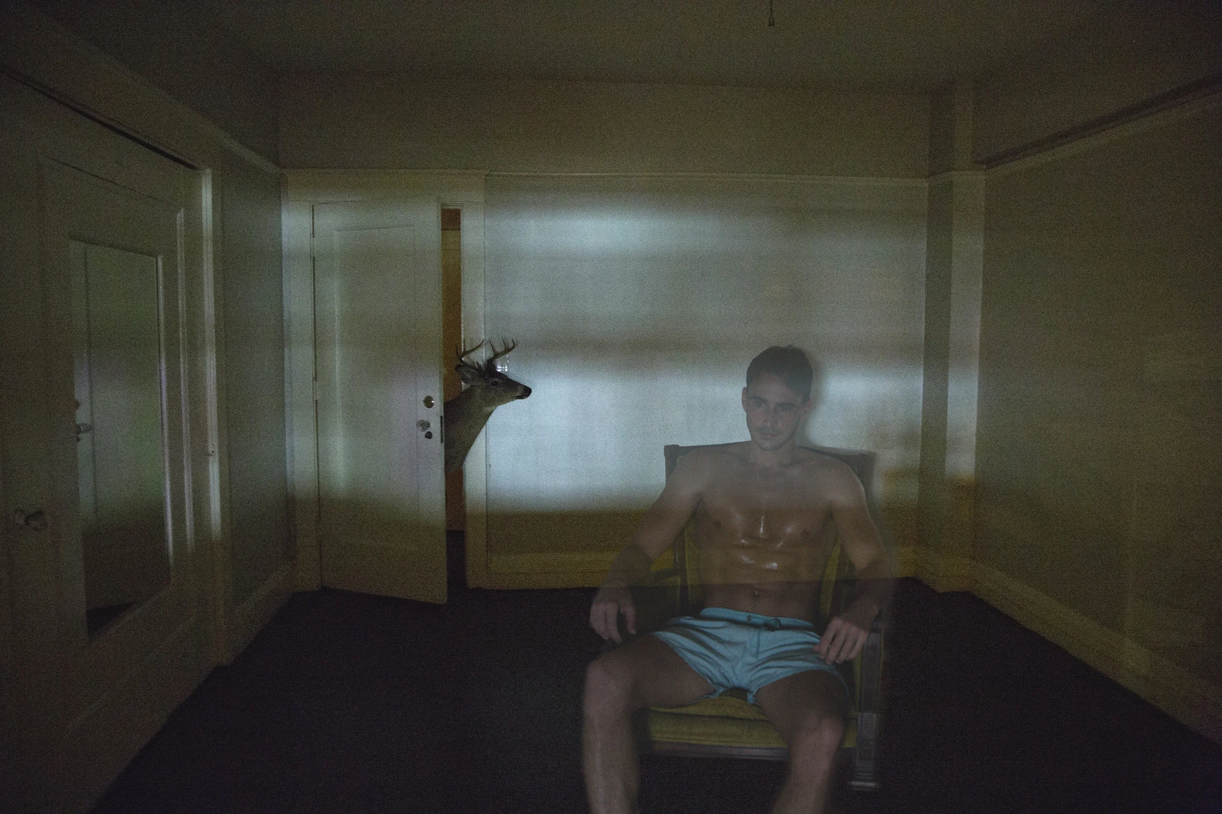 francois noah - all a dream website.jpg