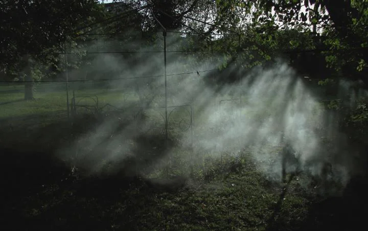 francois noah - smoke.jpg