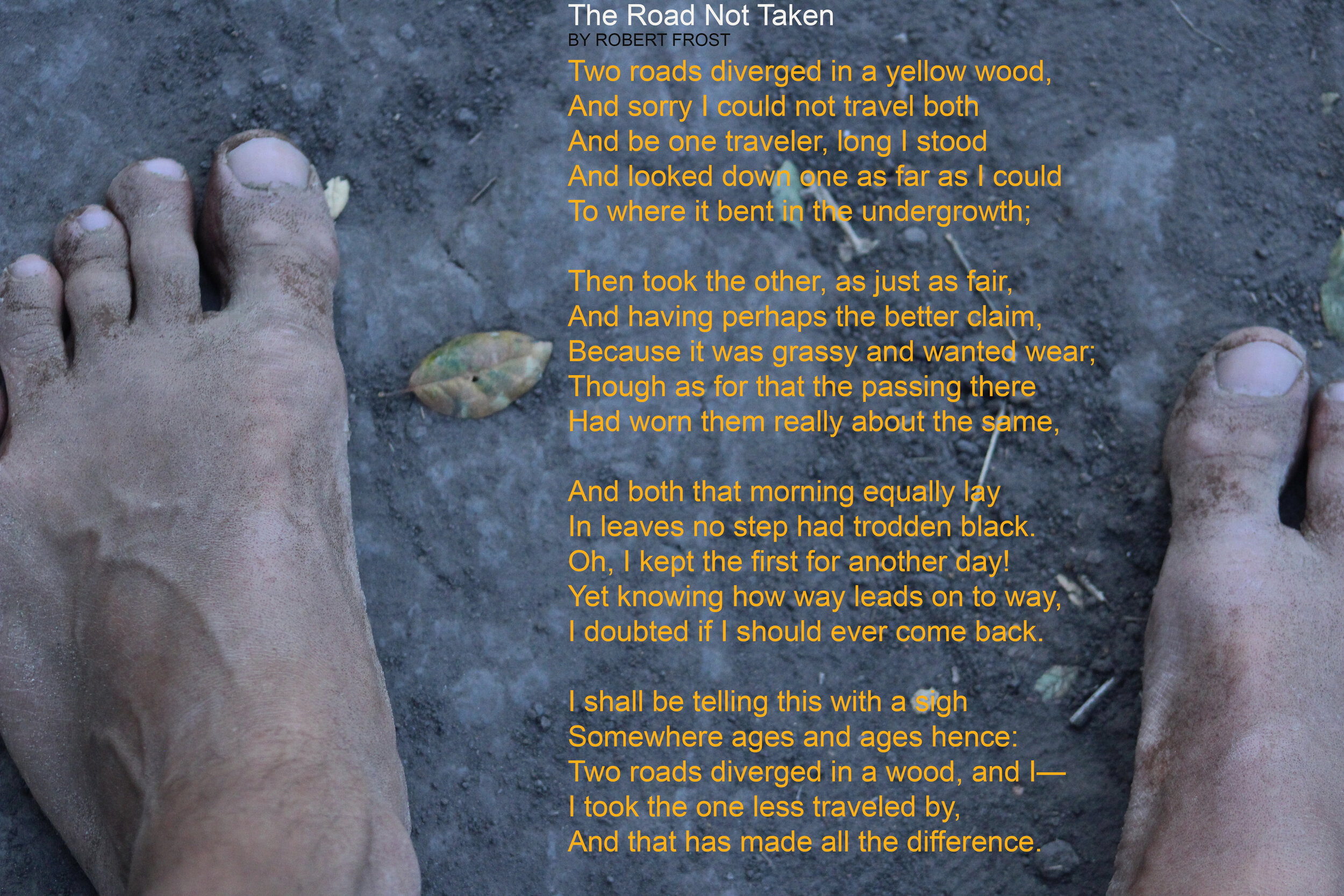 francois noah - the path