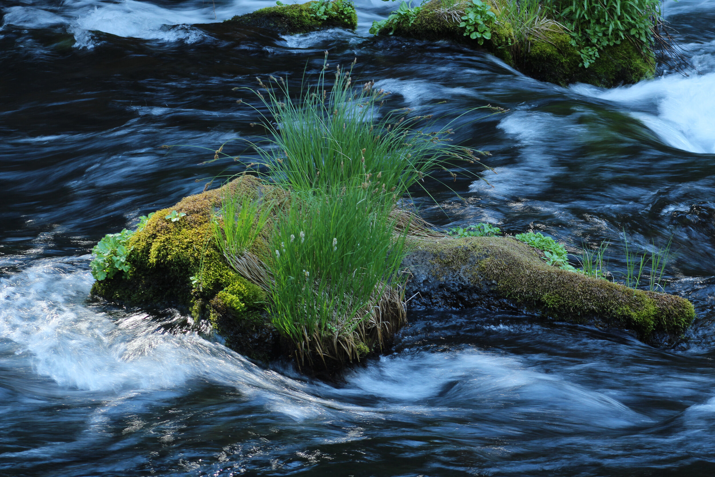 francois noah - in the flow