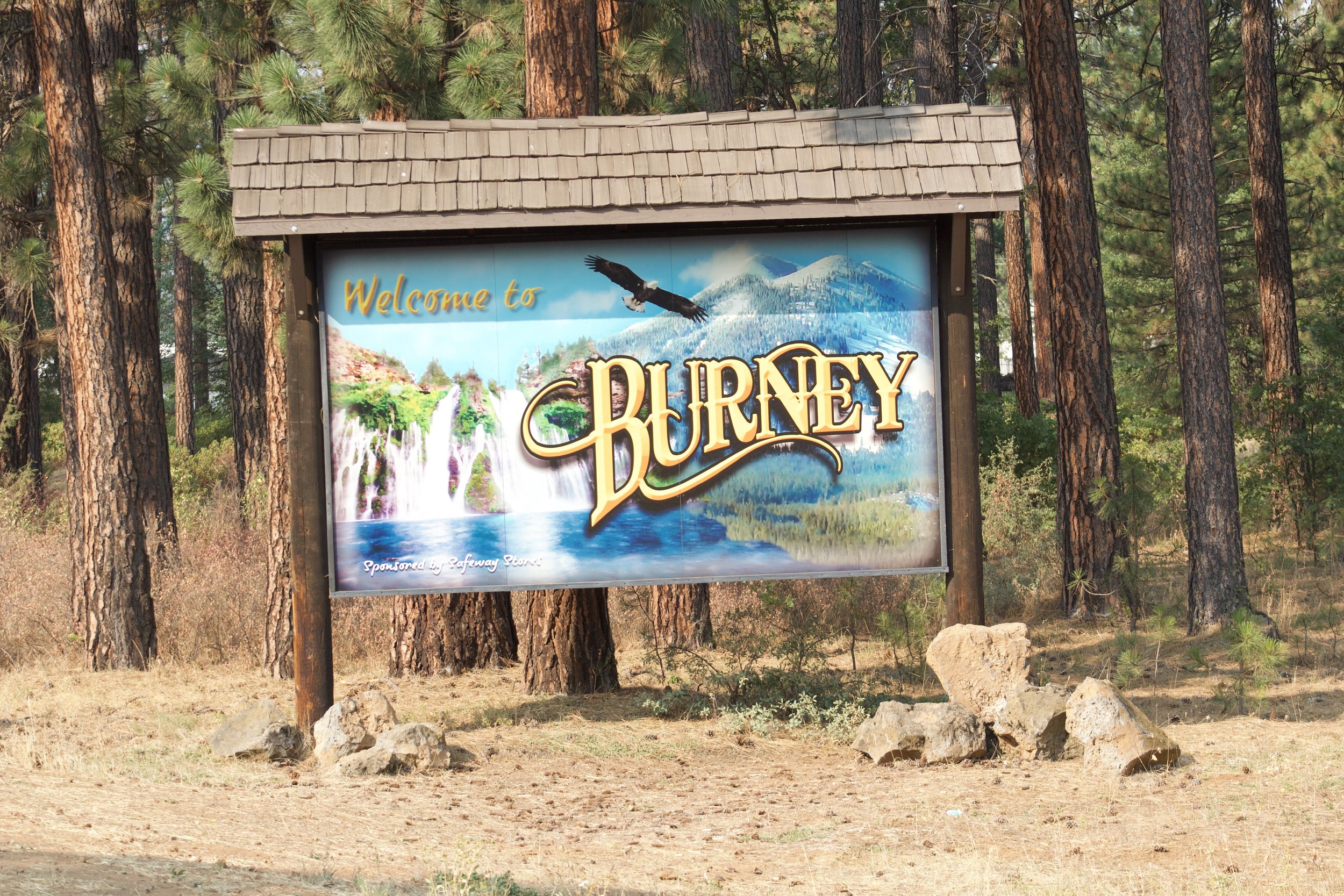 francois noah - welcome to burney