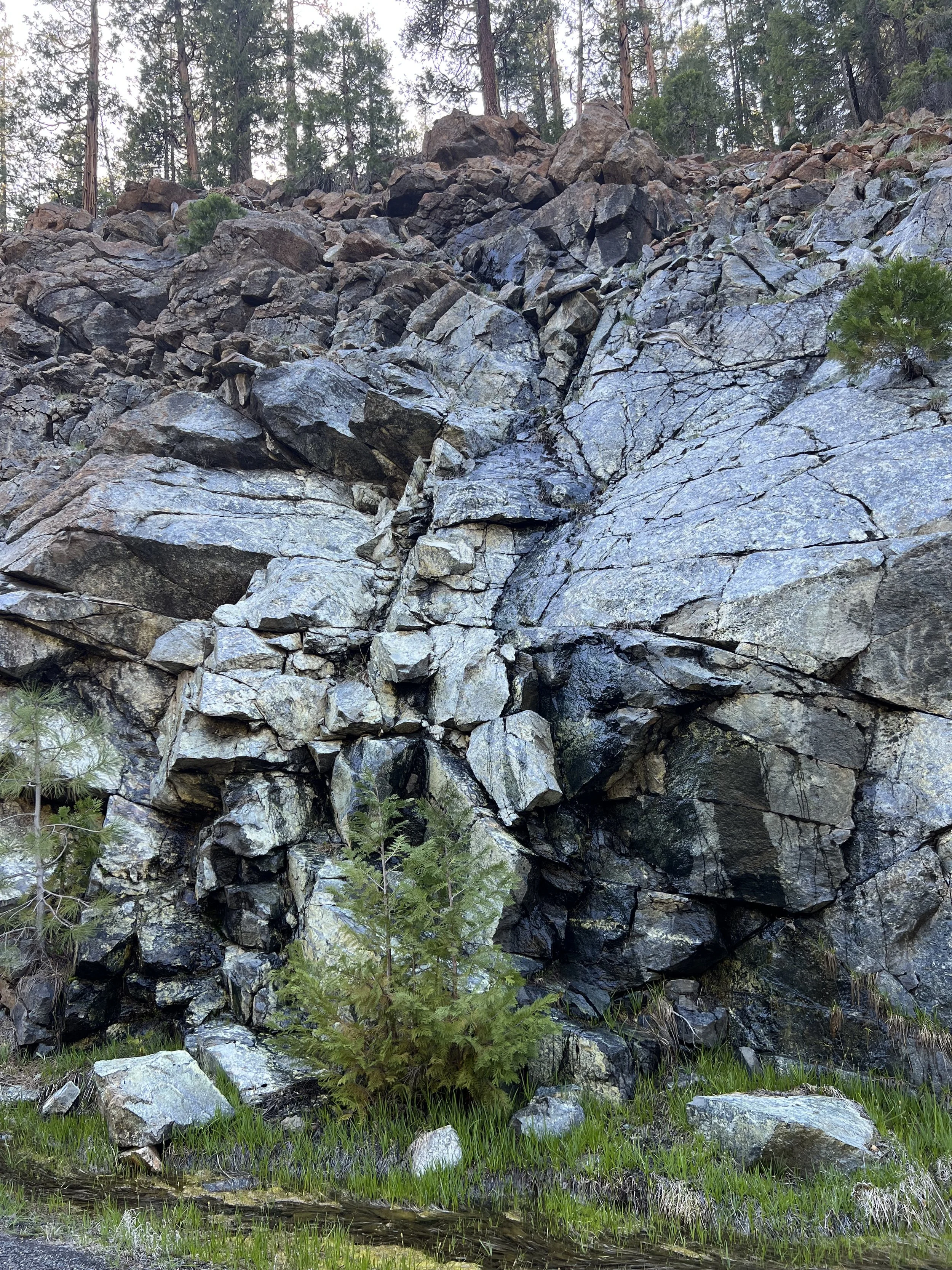 eyes of the planet - earth power.jpeg