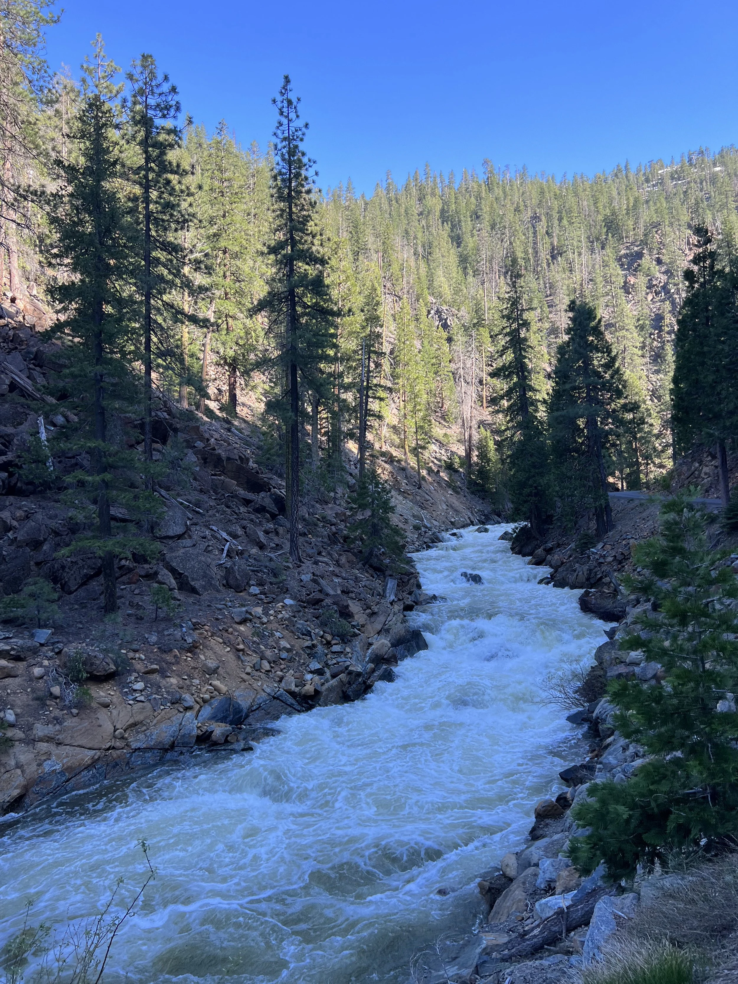 eyes of the planet - green river.jpeg