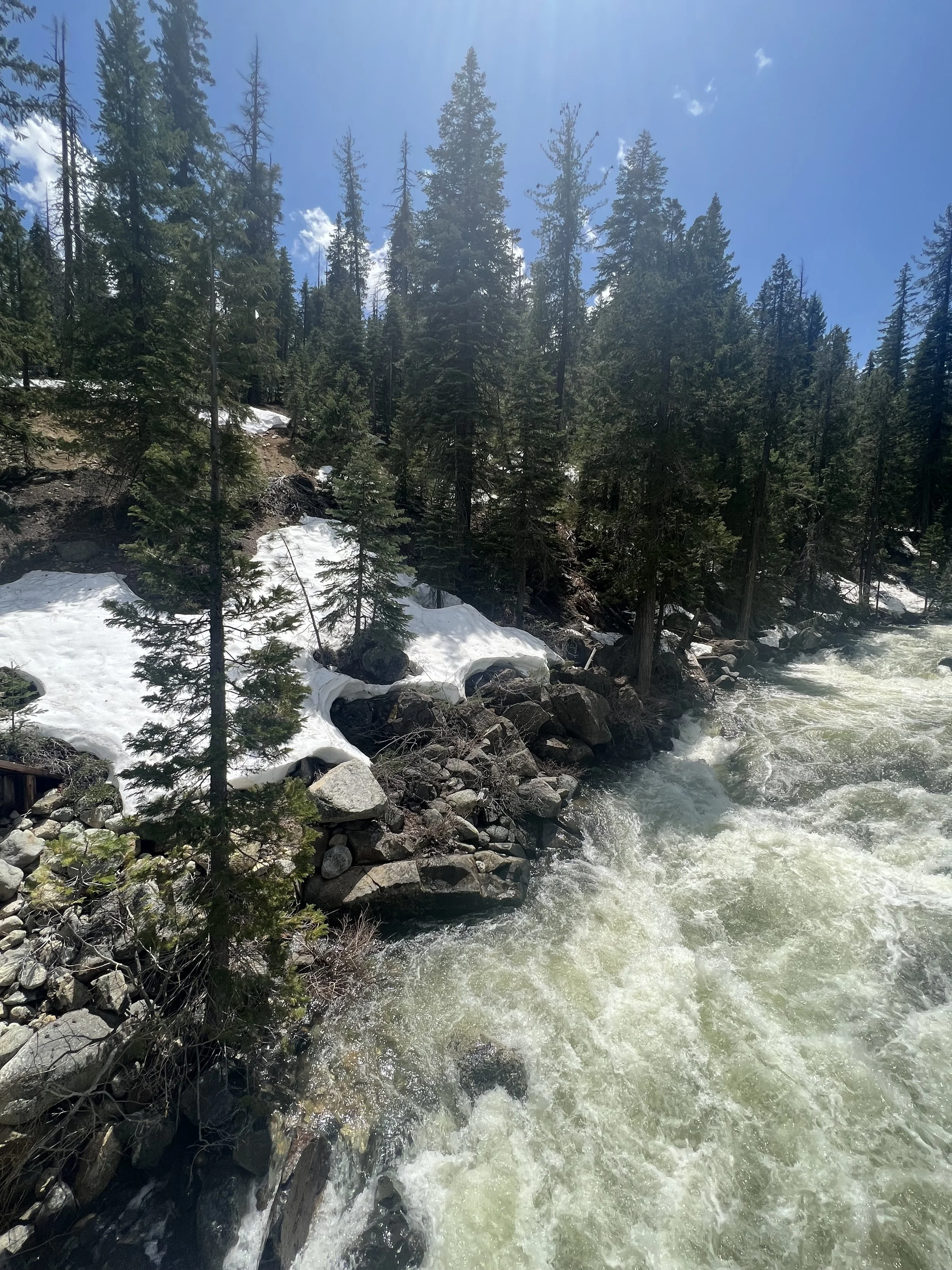 eyes of the planet - green snow.jpeg