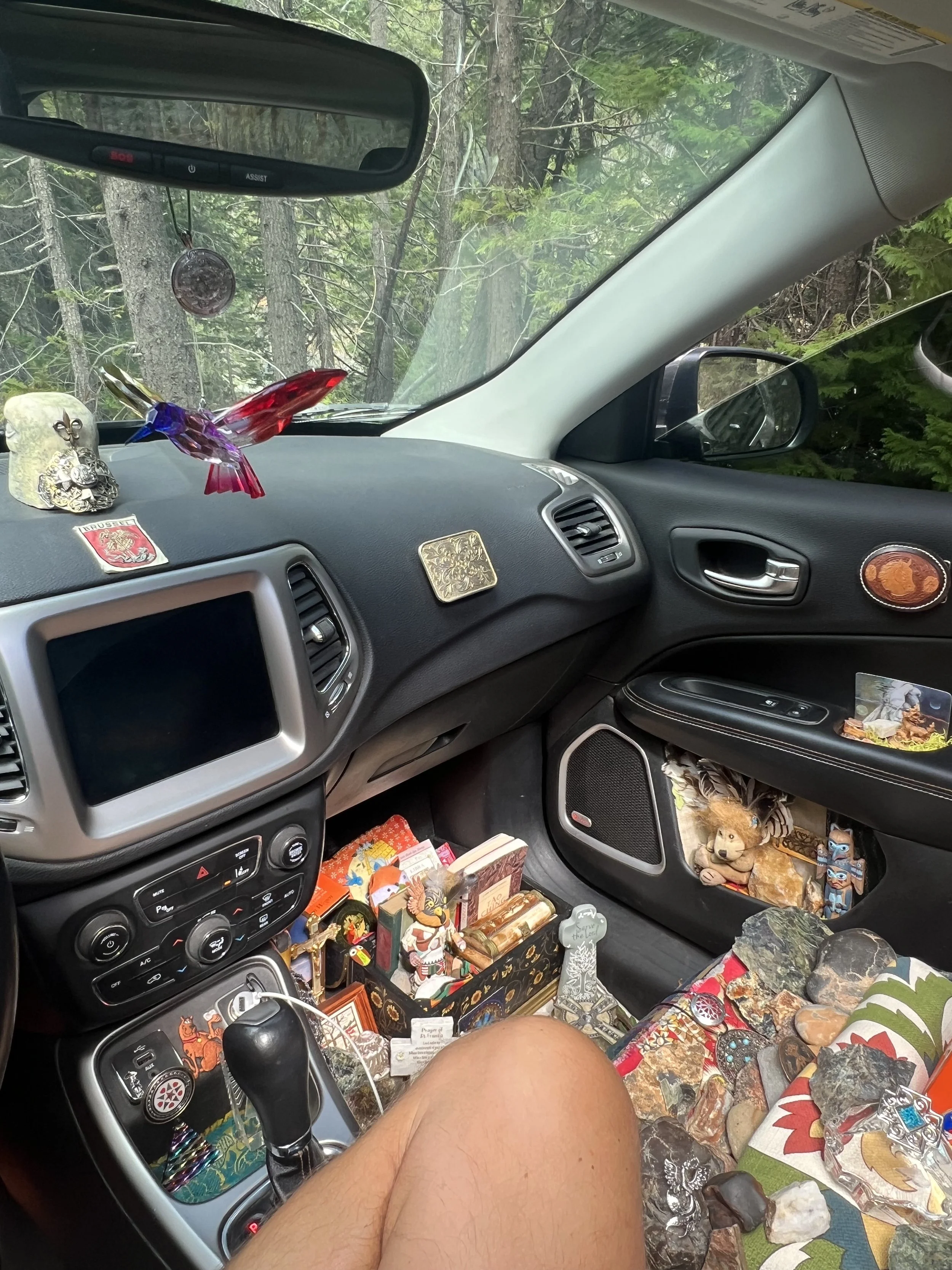 eyes of the planet - inside my car.jpeg