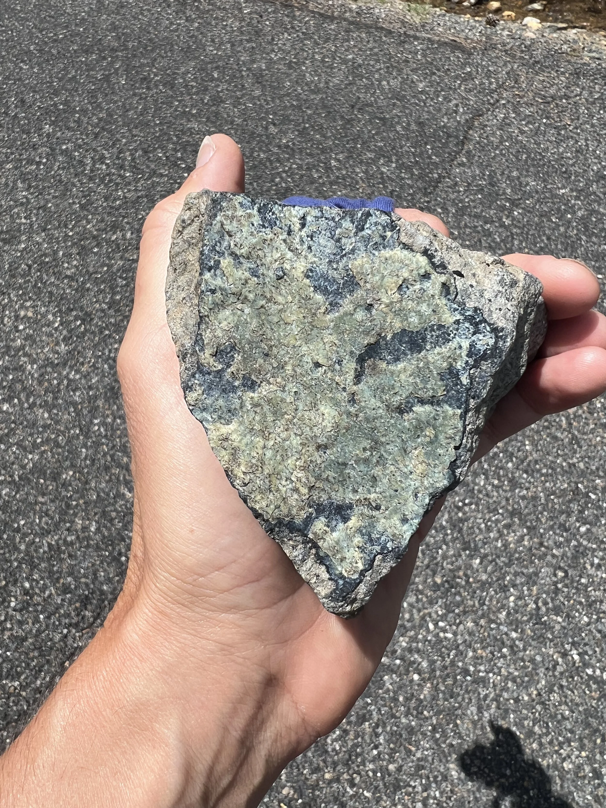 eyes of the planet - alien face.jpeg