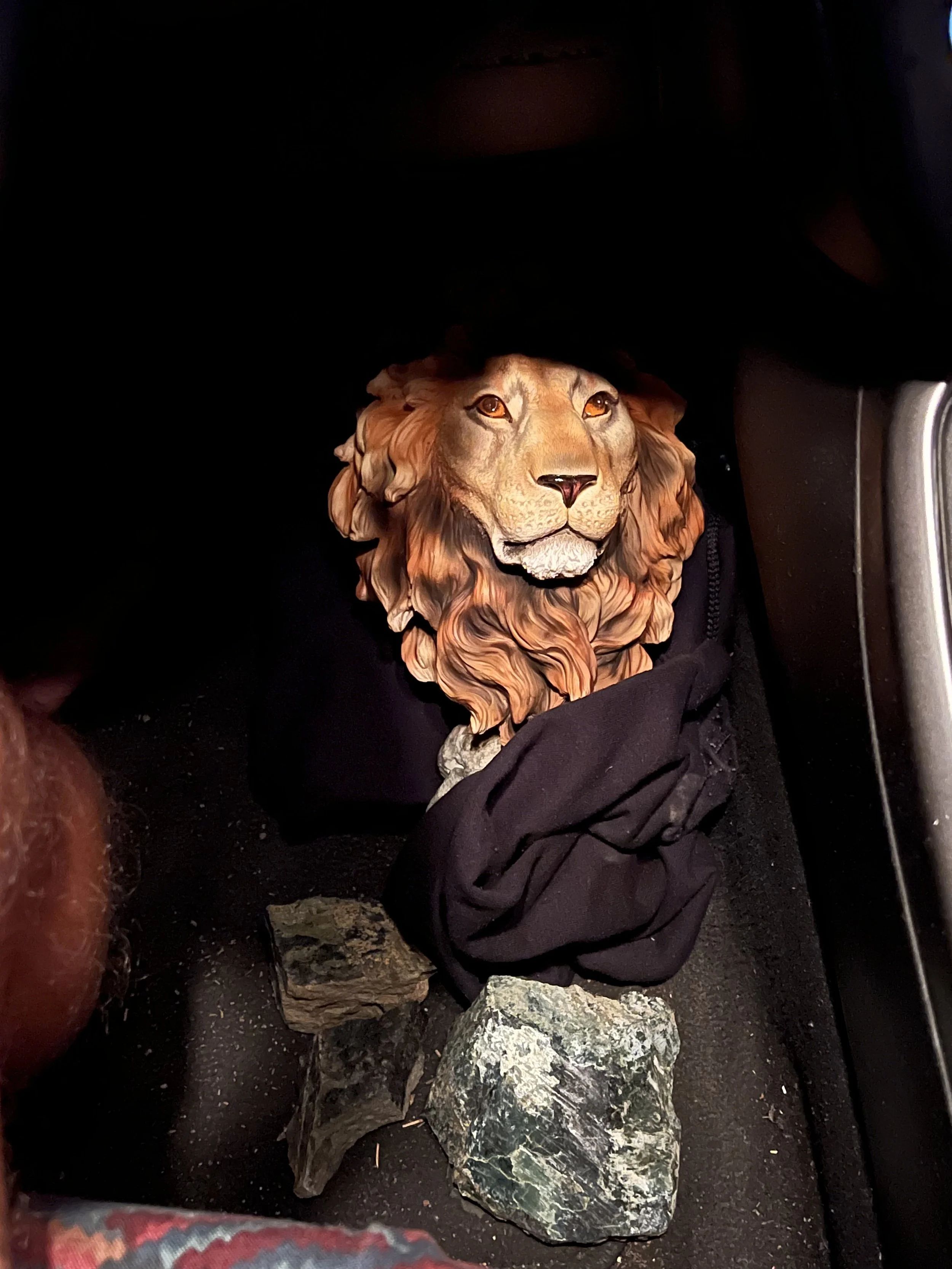 lion's heart - touch the earth.jpeg