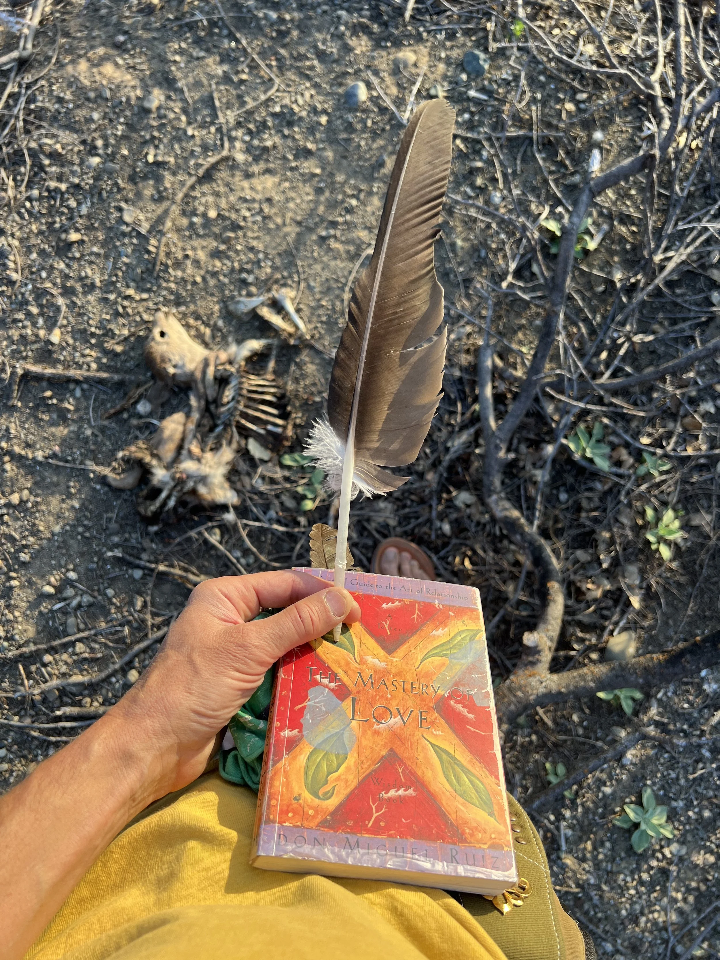 life, love and death - touch the earth.jpeg