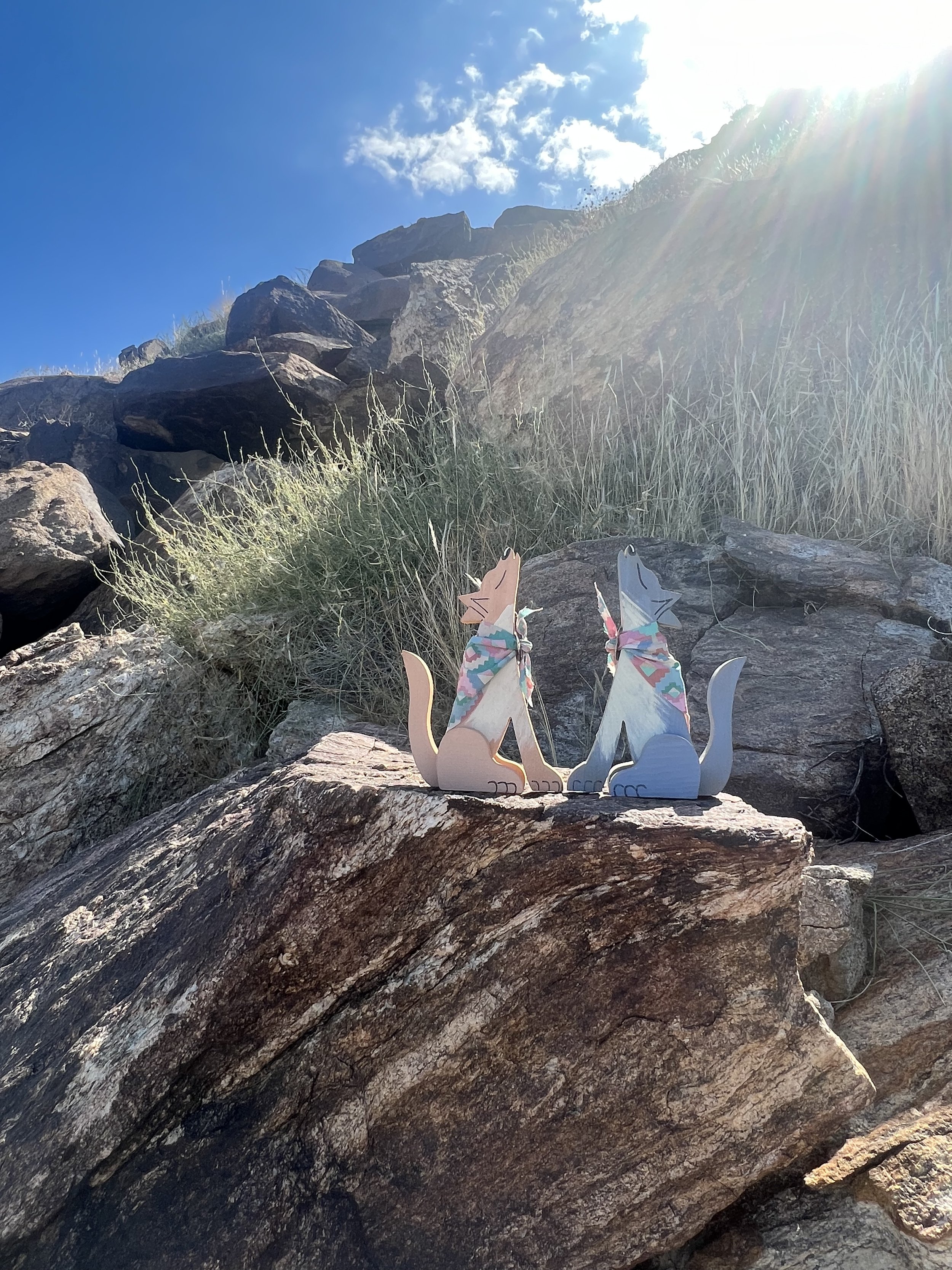coyottes - touch the earth.jpeg