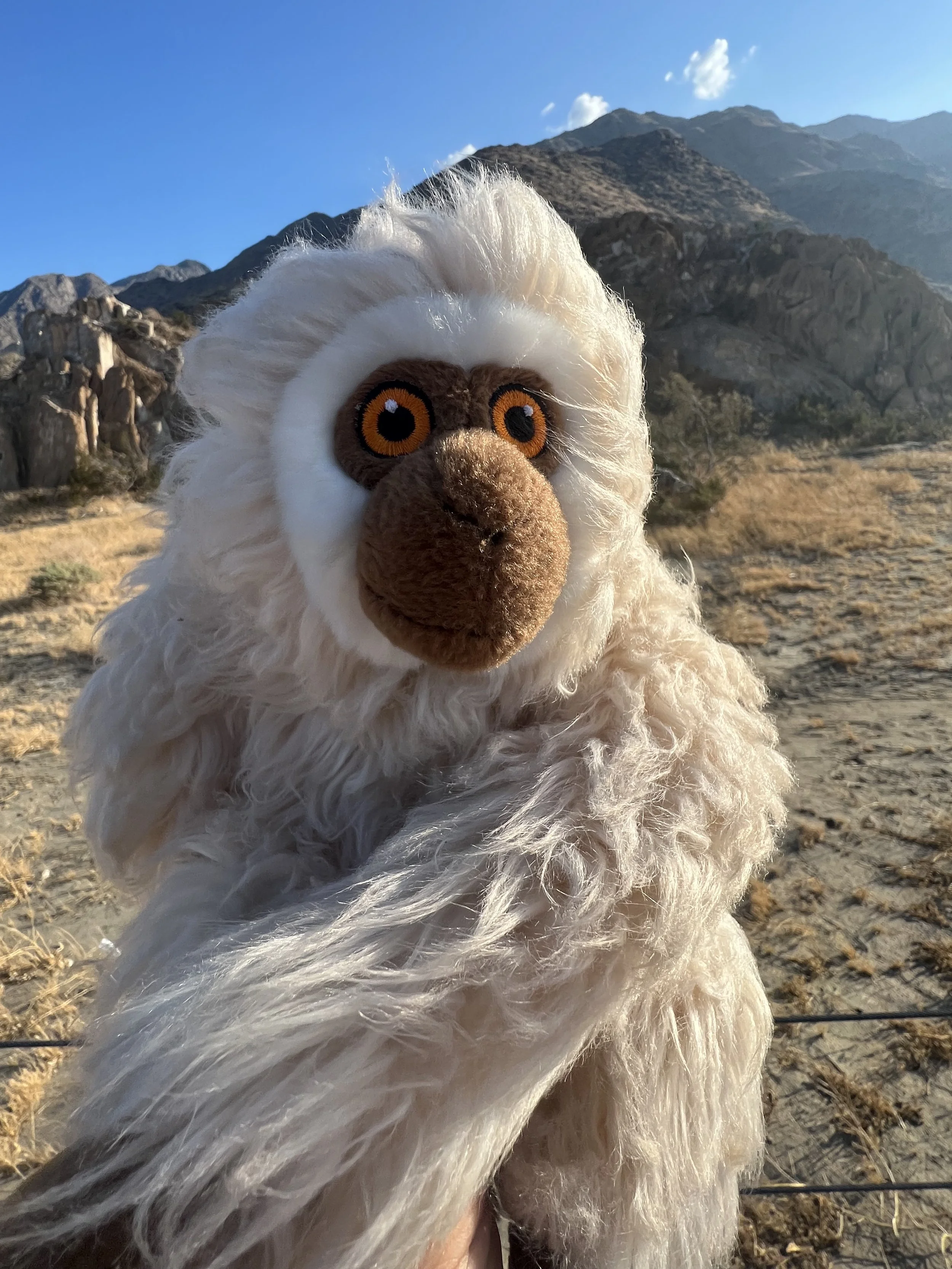 blanco in palm springs - touch the earth.jpeg