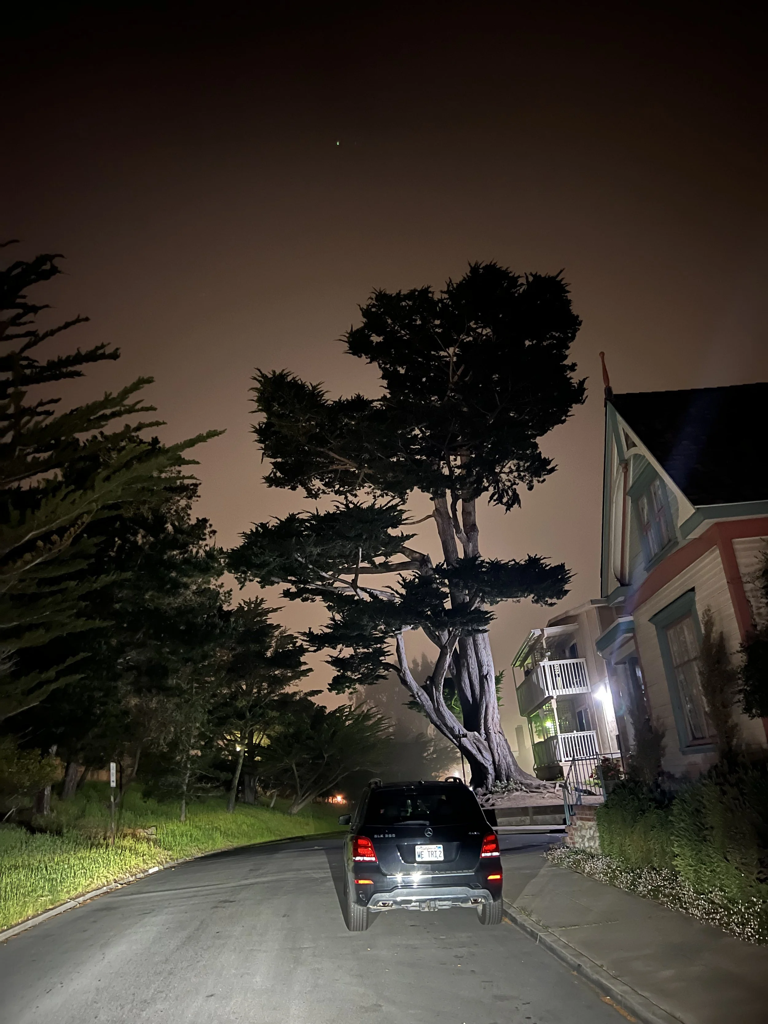 night dream - touch the earth.jpeg