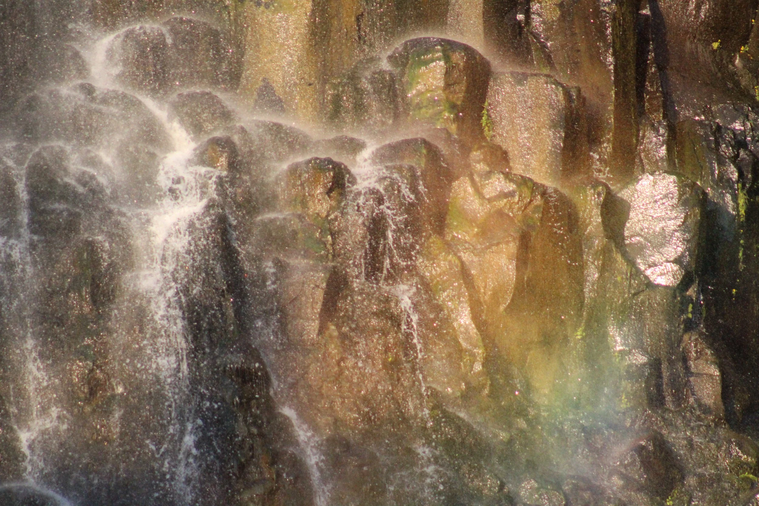 galatine francois xavier noah.JPEG