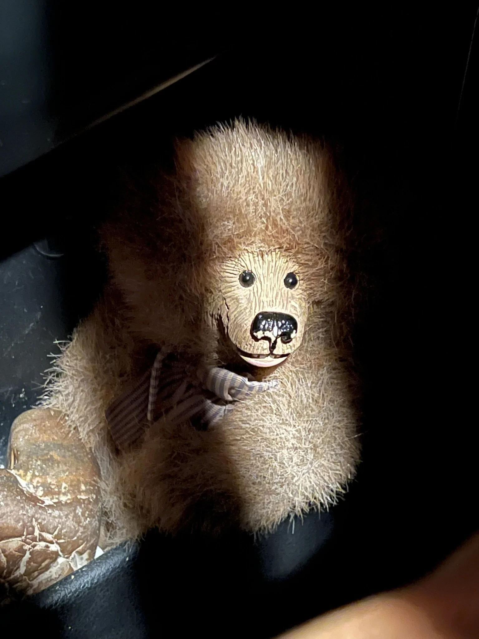 copain - francois xavier noah.JPEG