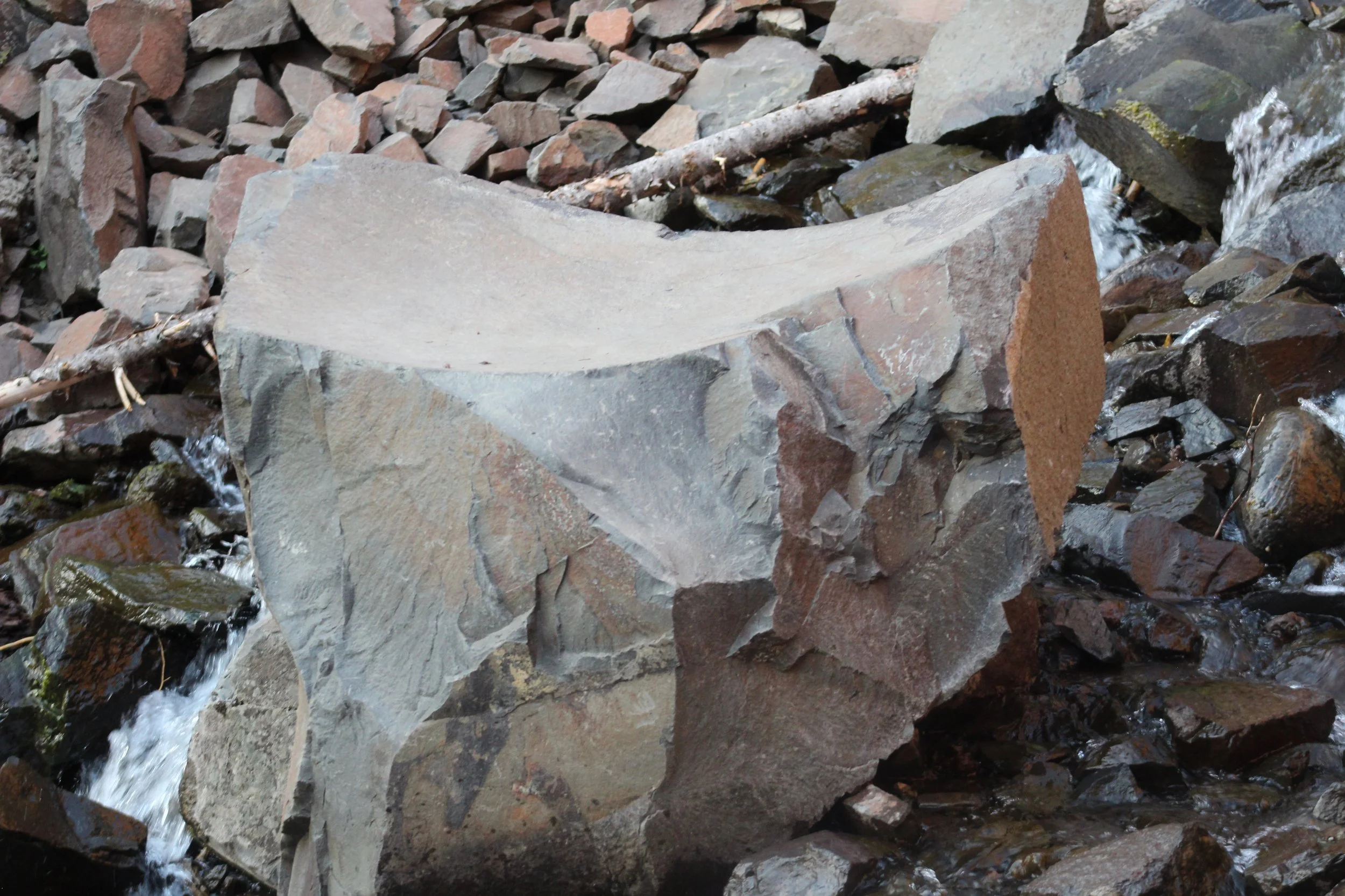 le siege - francois xavier noah.JPEG