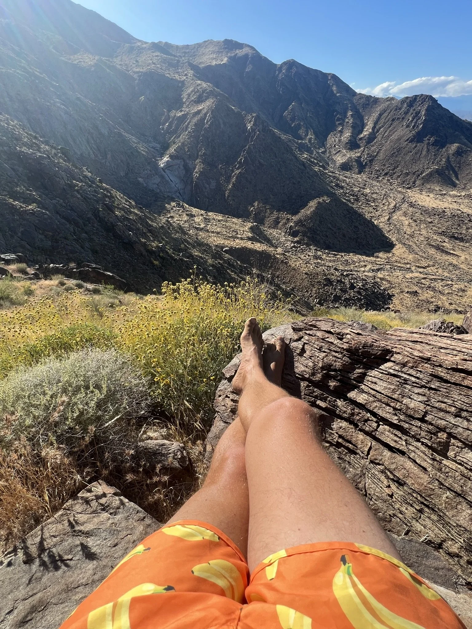 la montagne - francois xavier noah.JPEG