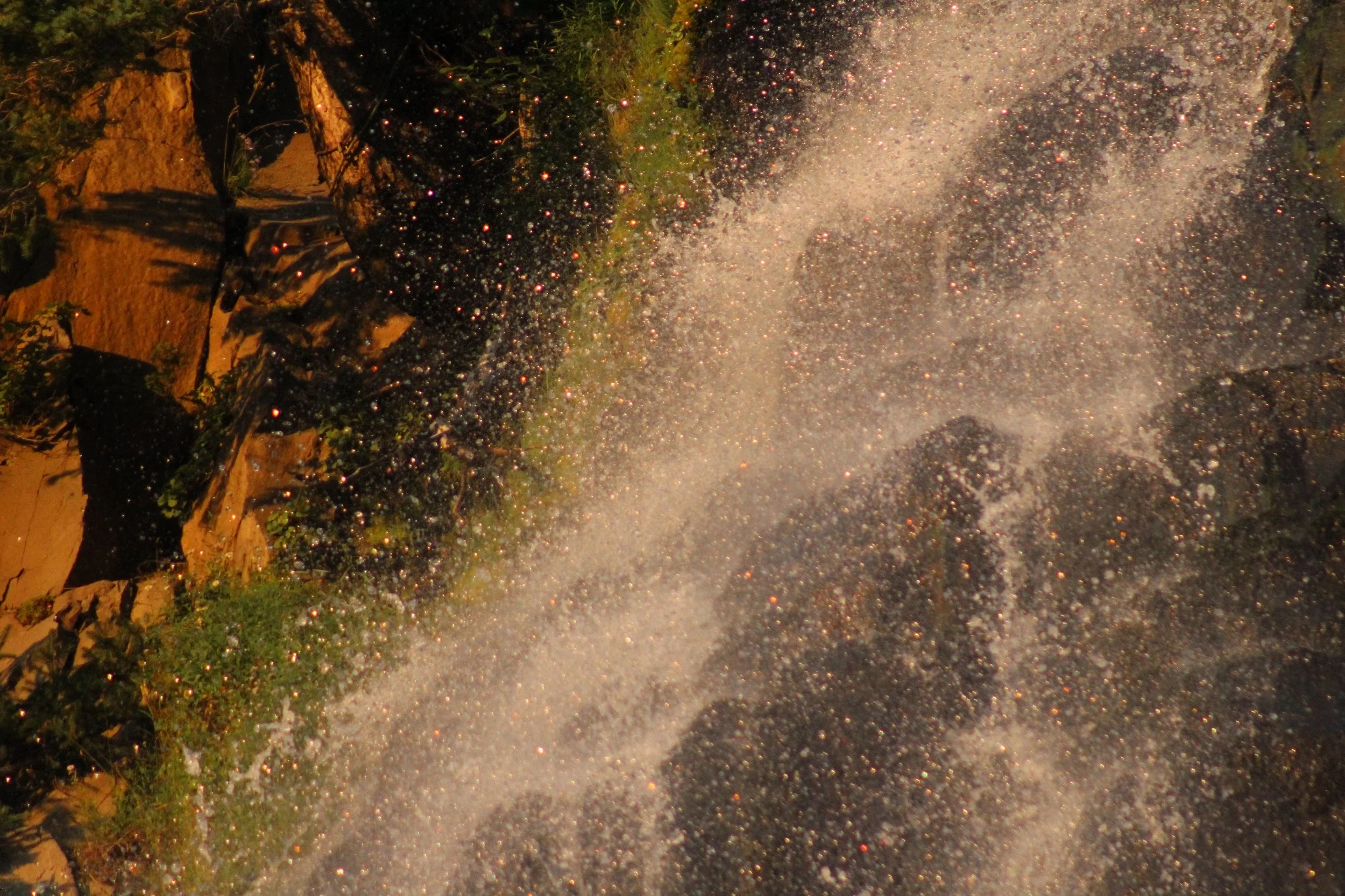 la force - francois xavier noah.JPEG