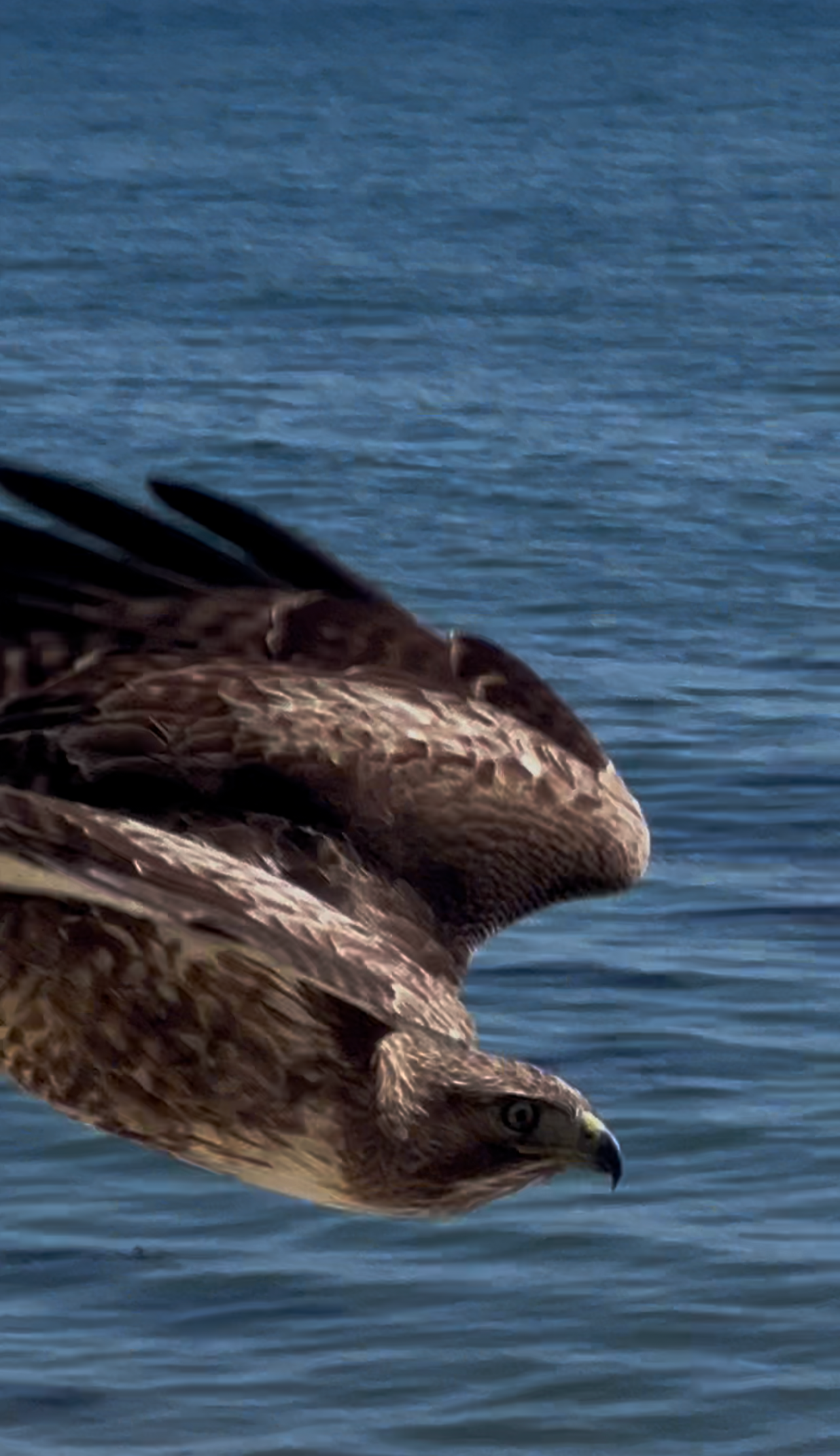 IMG_2043.png
