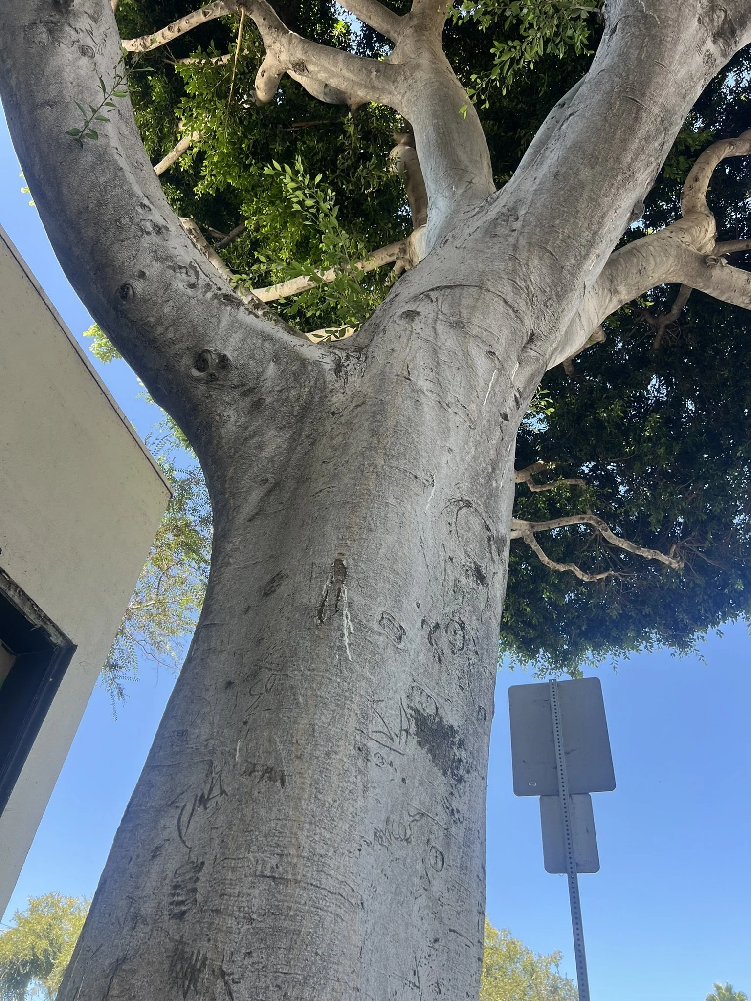 IMG_1885.JPEG