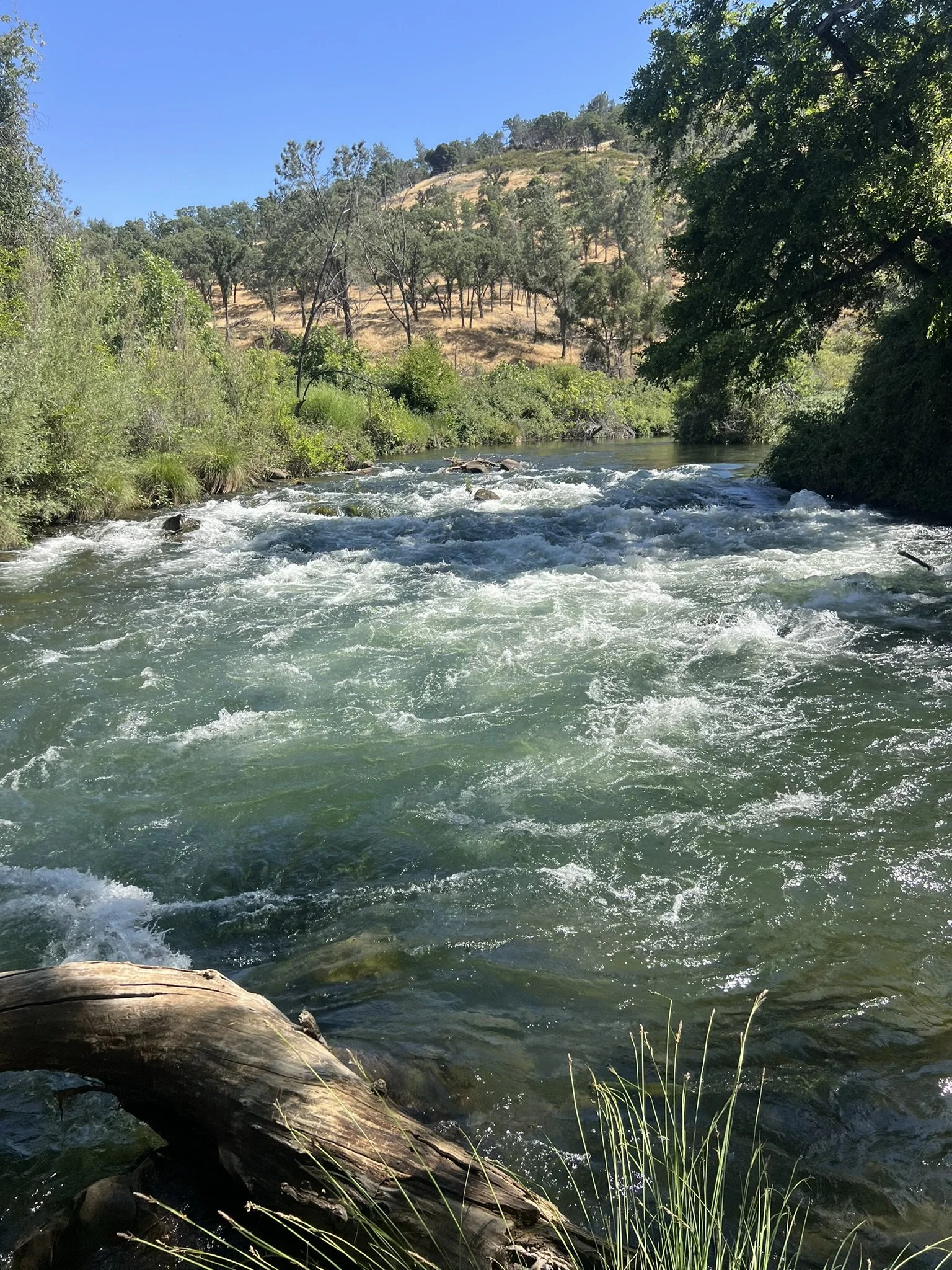IMG_3620.JPEG