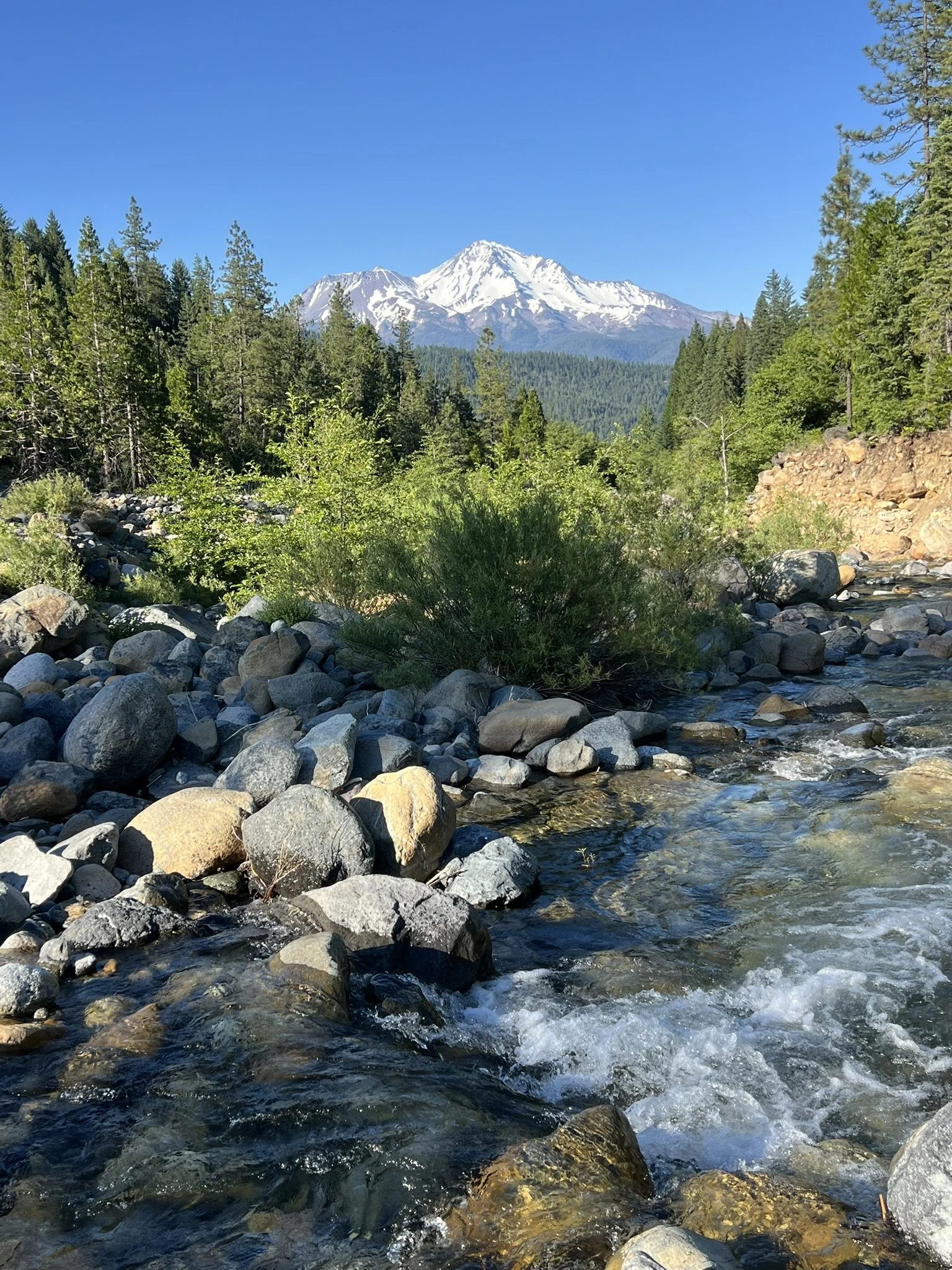 IMG_5639.JPEG