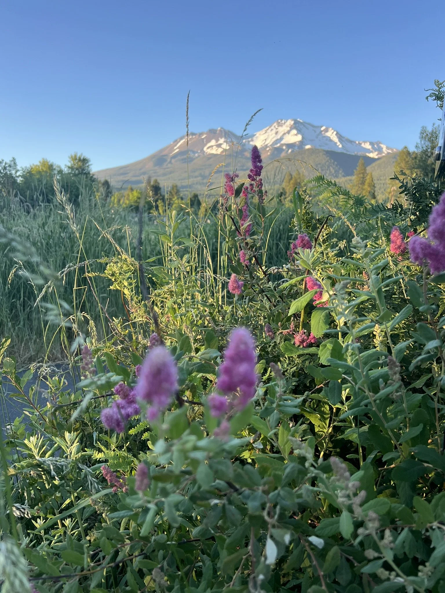 IMG_5674.JPEG