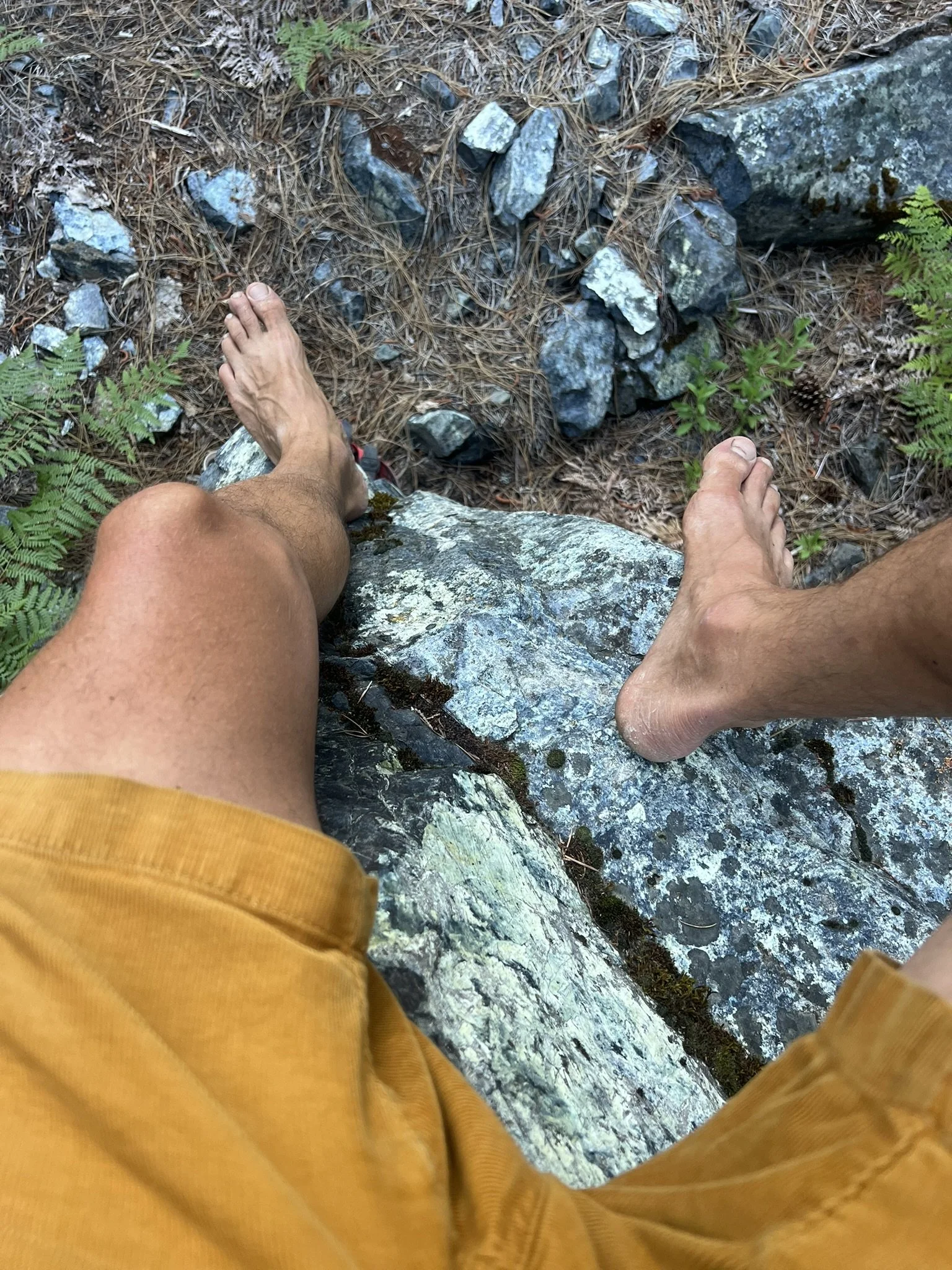 IMG_6188.JPEG