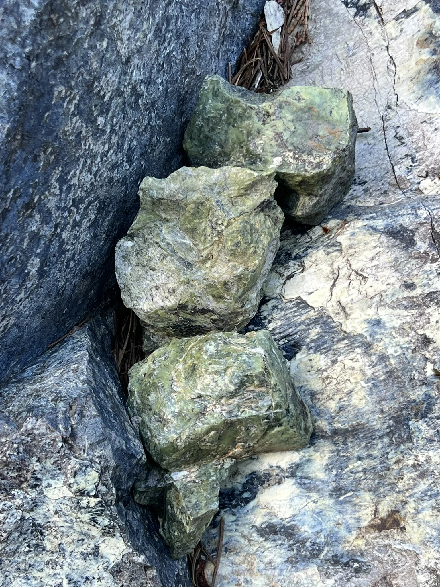 IMG_6860.JPEG