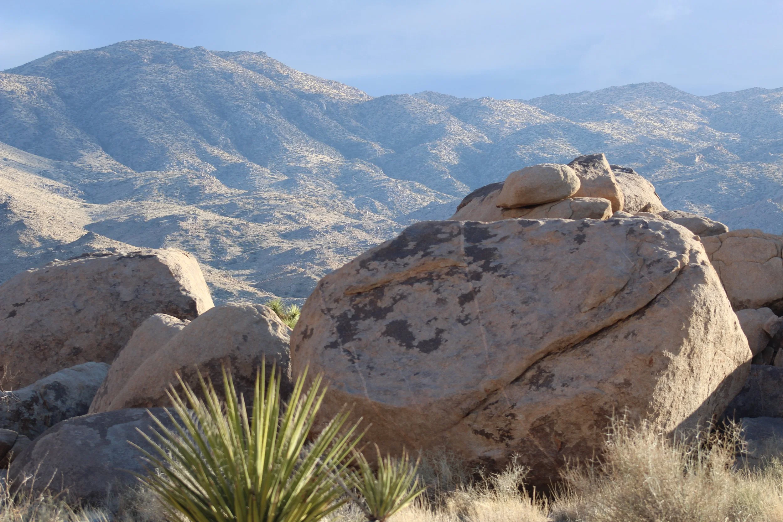 francois xavier noah - earth.JPG