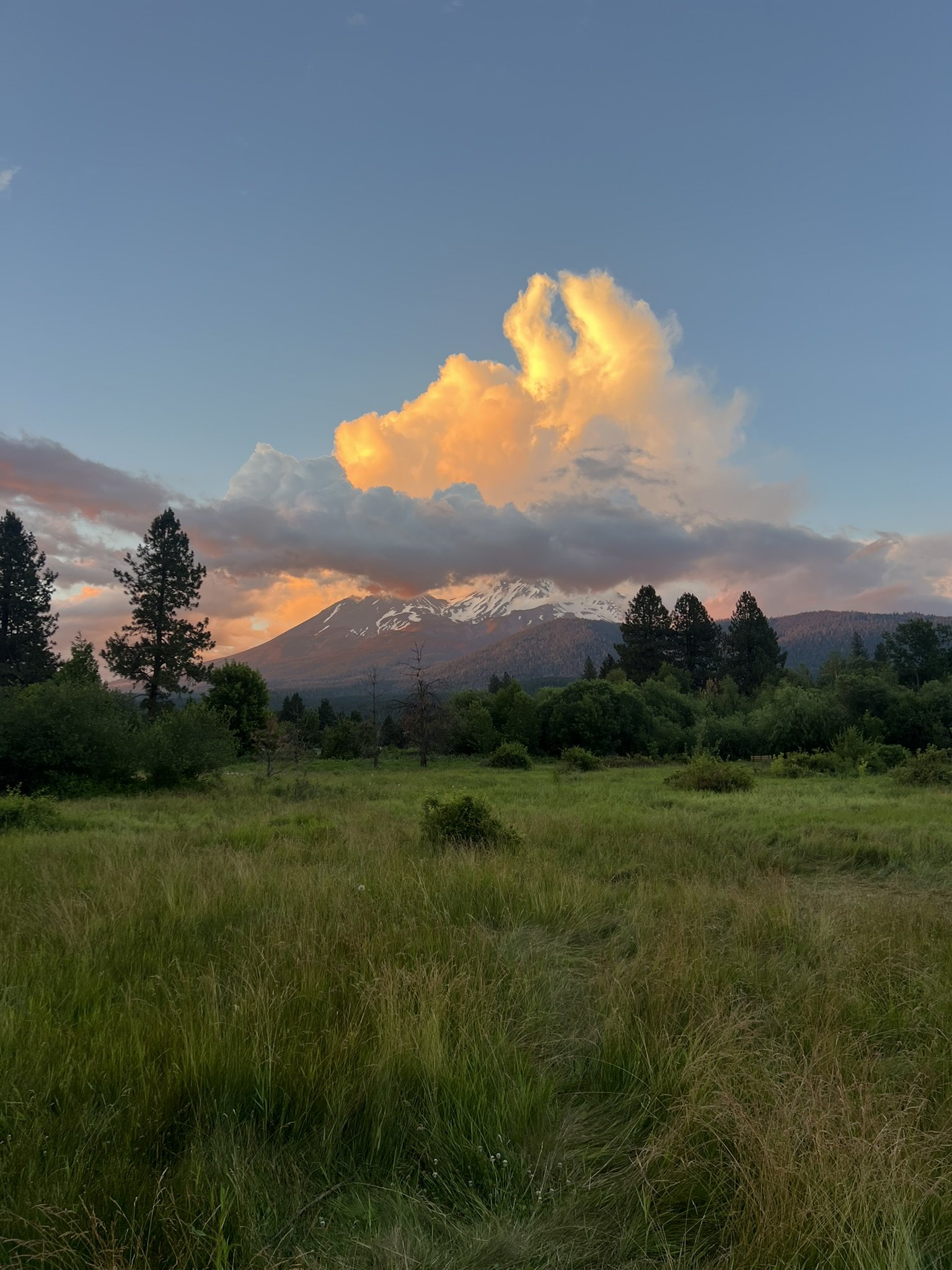 touch the earth. mount shasta summer solstice 2026.JPEG