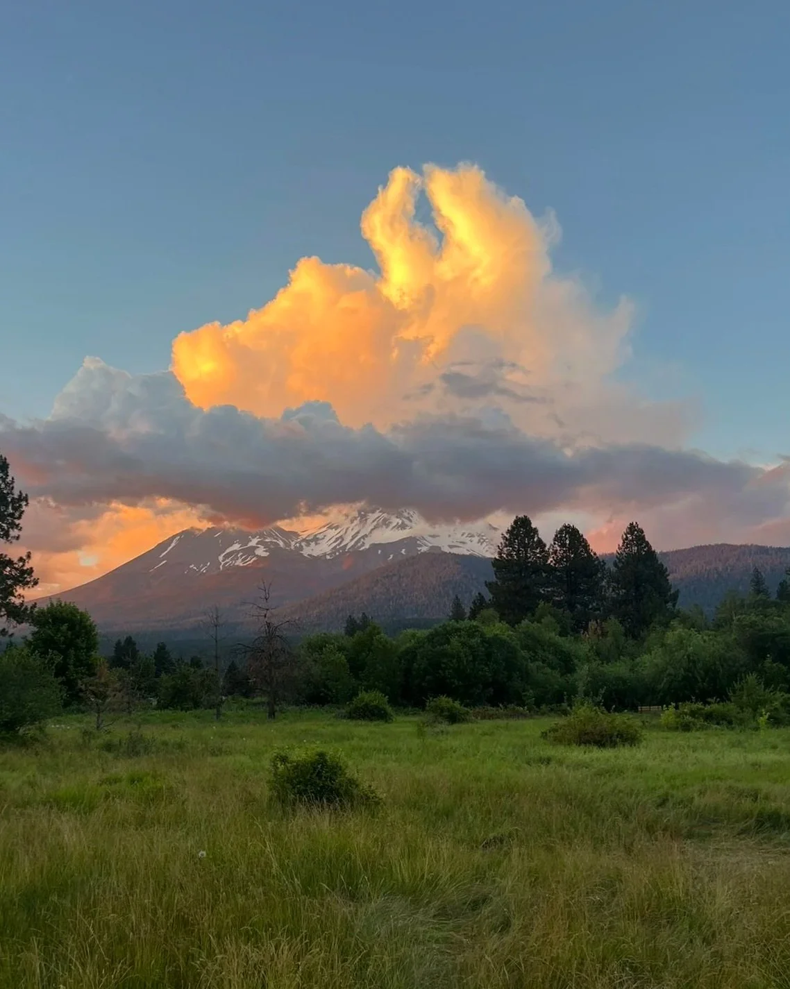 touch the earth. mount shasta summer solstice 2026.jpg