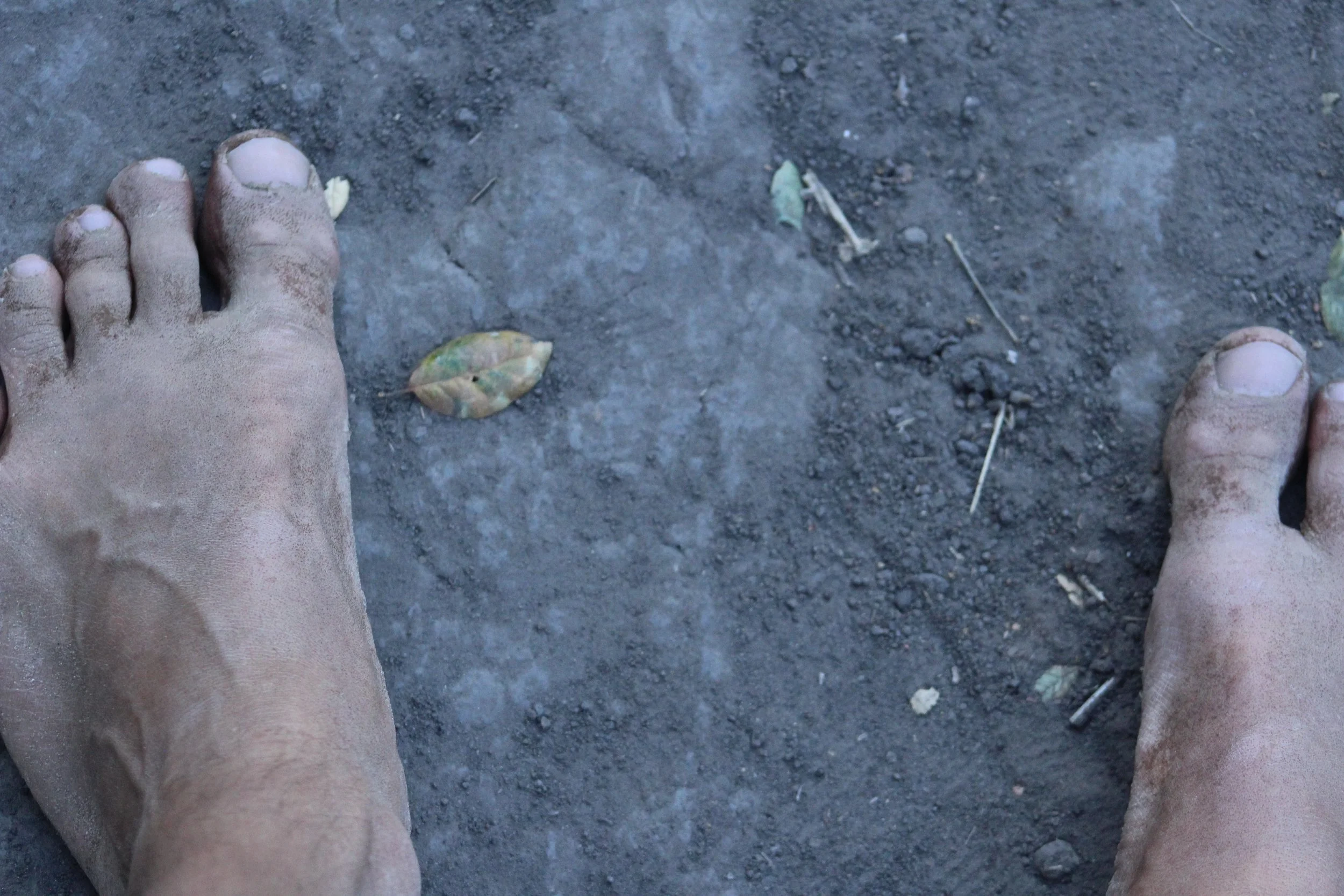 francois xavier noah- on the earth.JPG