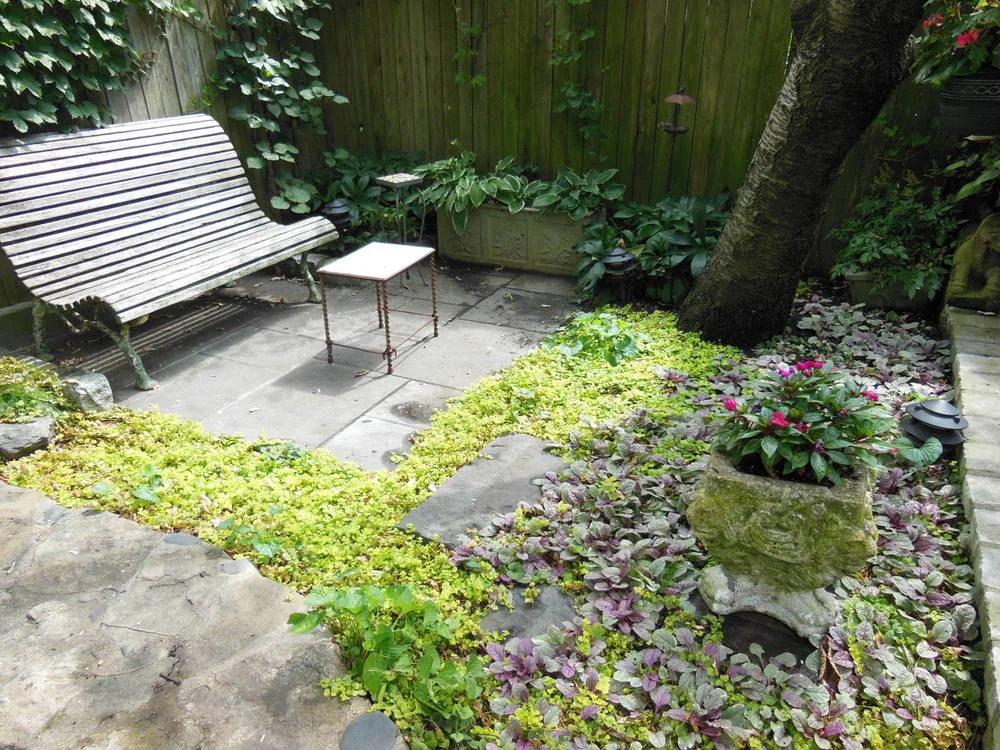 Park Slope Garden