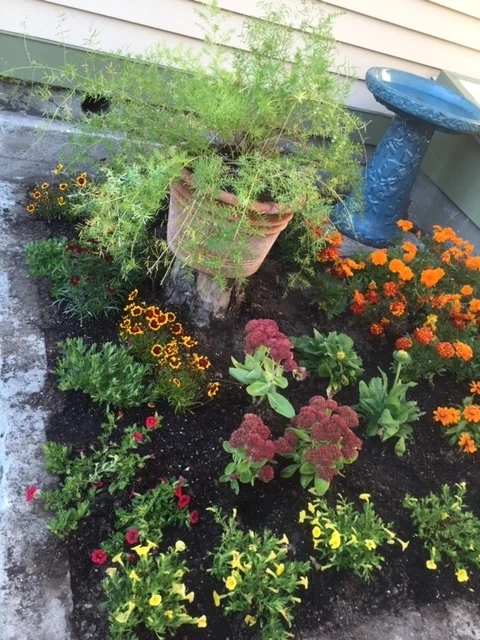 New London, Connecticut Flower Bed