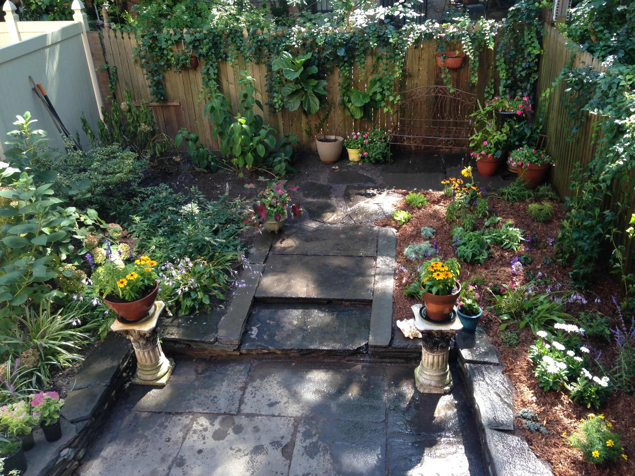 Jefferson Avenue Garden