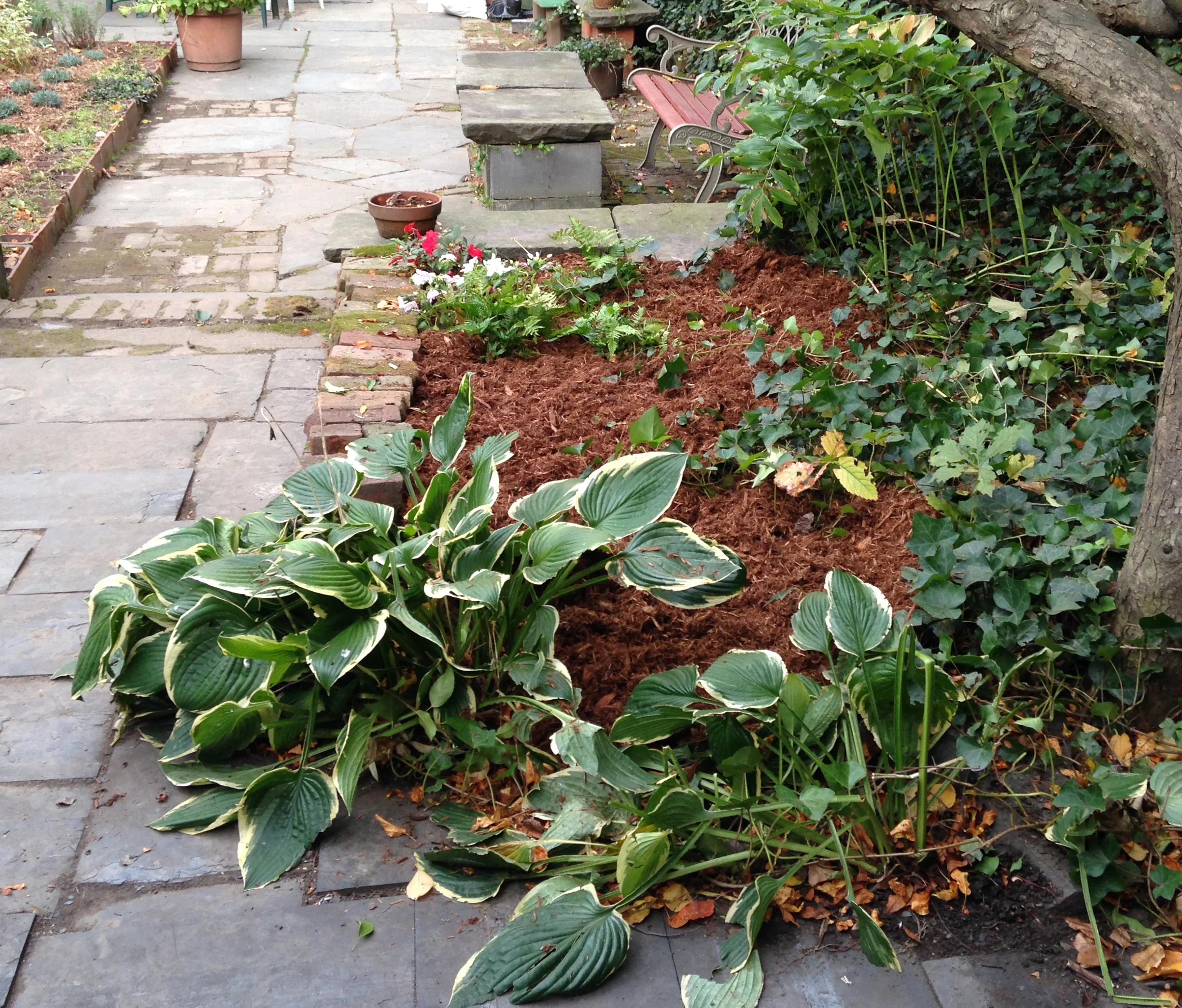 Carroll Street Garden