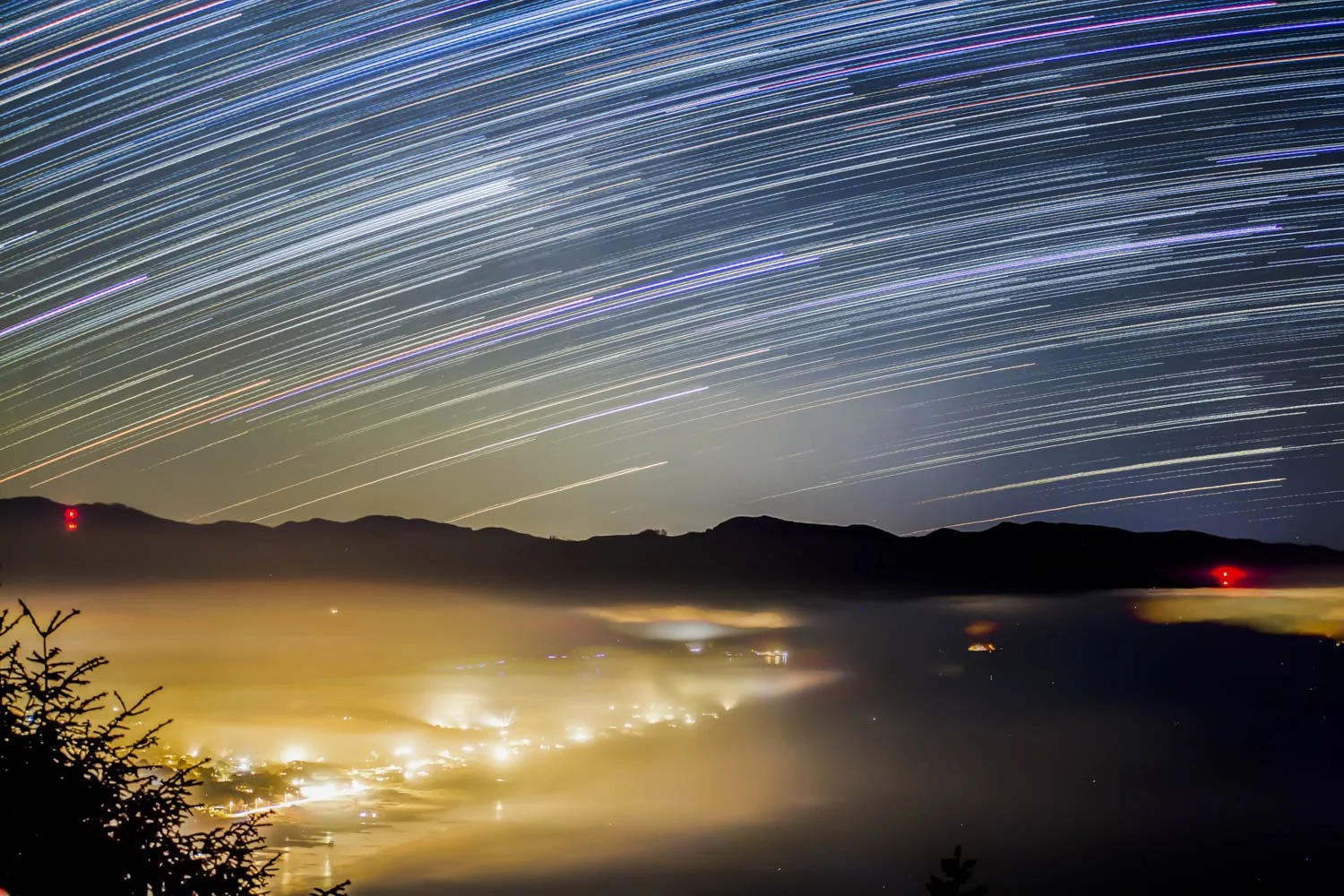 BFA senior show candidate-11-85.jpg