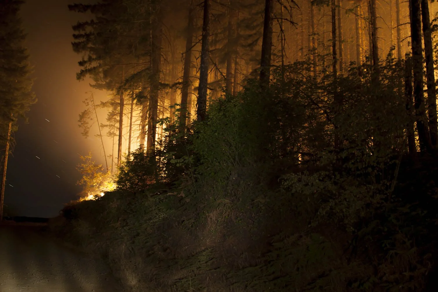 fire lightbox-00002-31.jpg