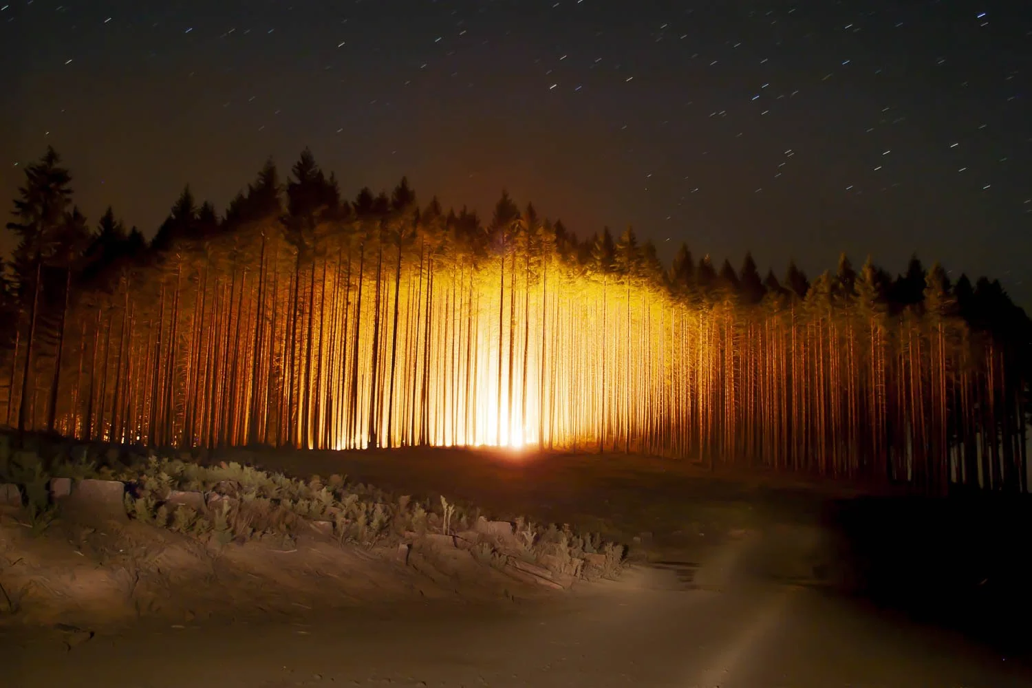 fire lightbox-00004-37.jpg