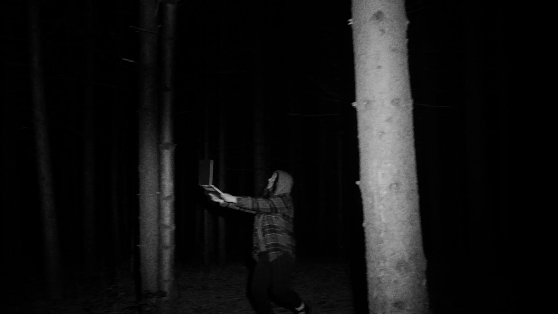 HP - Lost