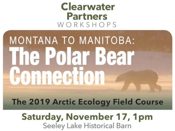 Read the Seeley Swan Pathfinder article . (Nov. 23, 2018 edition)