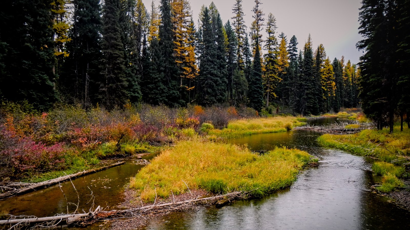   THE NATURAL RESOURCES AND RURAL LIFESTYLE OF THE CLEARWATER WATERSHED  