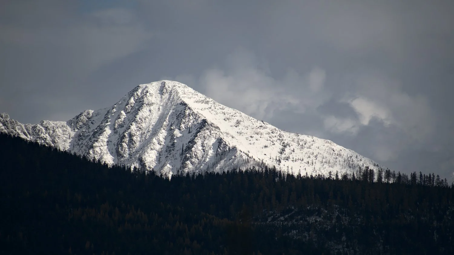   THE NATURAL RESOURCES AND RURAL LIFESTYLE OF THE CLEARWATER WATERSHED  
