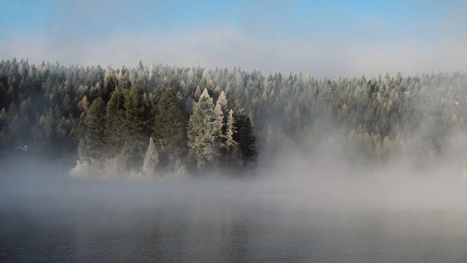   Engaging Our Community to Enhance, Conserve and Protect  