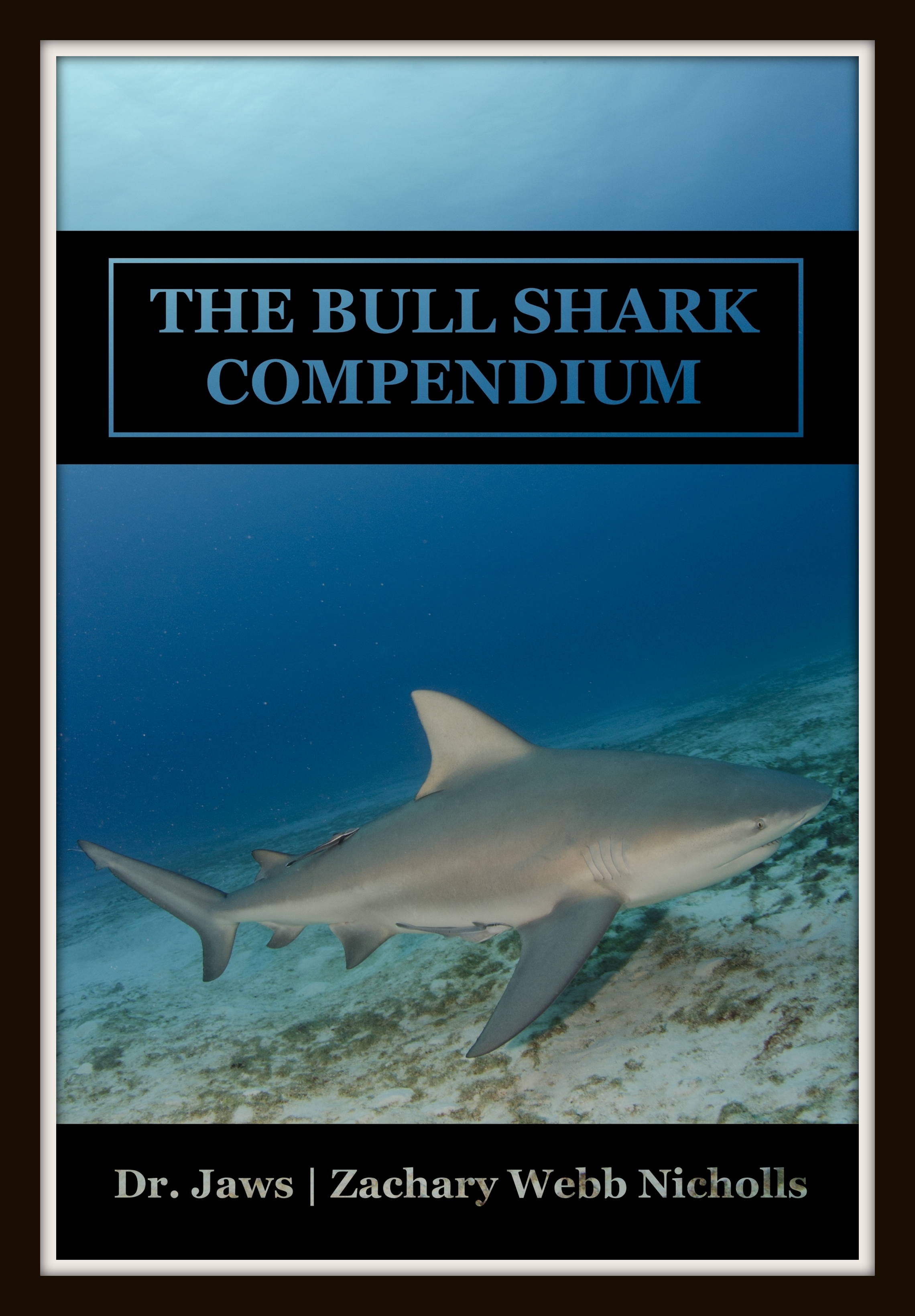 The Bull Shark Compendium