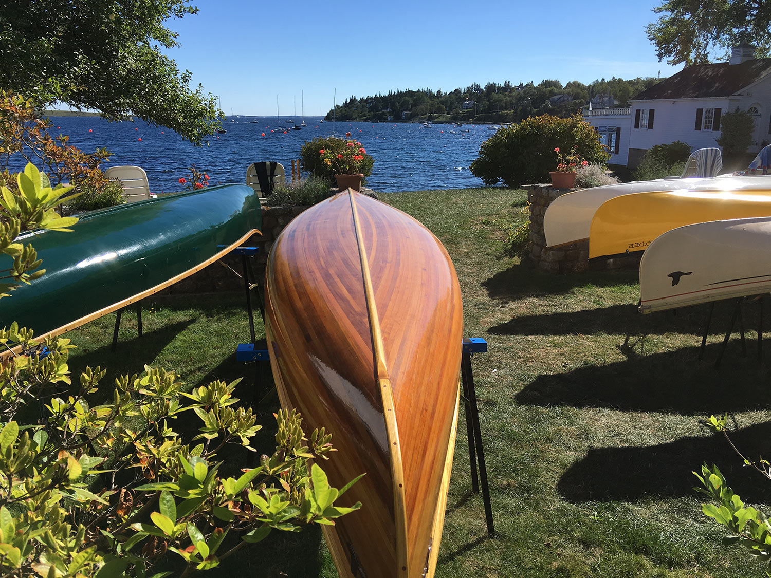 Our Beautiful Canoes!